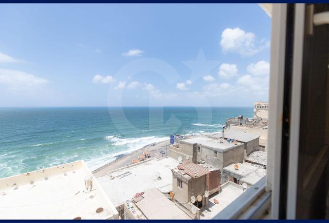 92143688 - صورة العقار 2