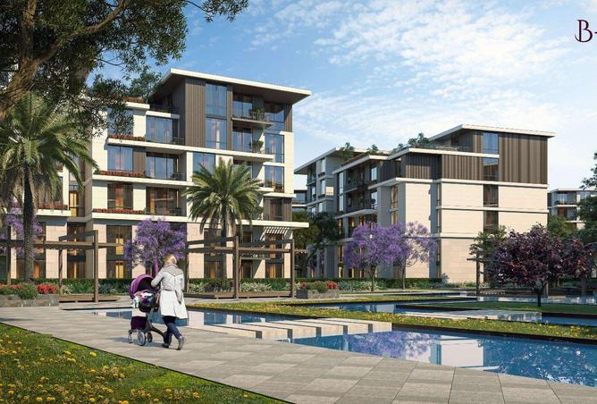 8584243 - Property Image 3