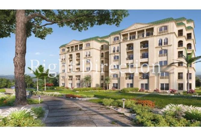 8646535 - Property Image 3