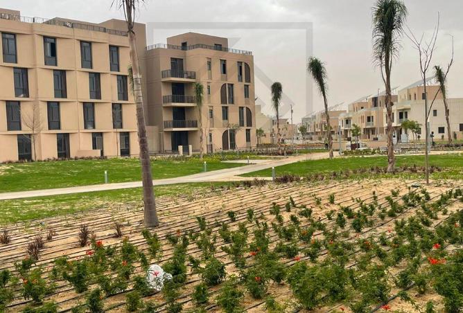 97718869 - صورة العقار 3