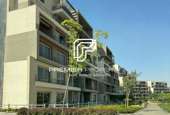 53730795 - Property Image 3