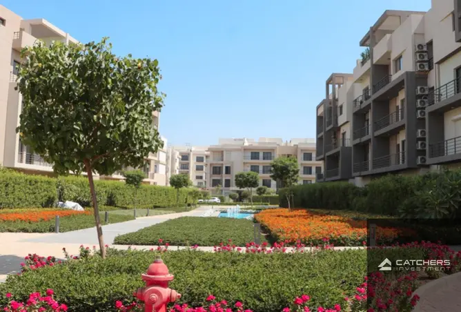 116759347 - Property Image 3