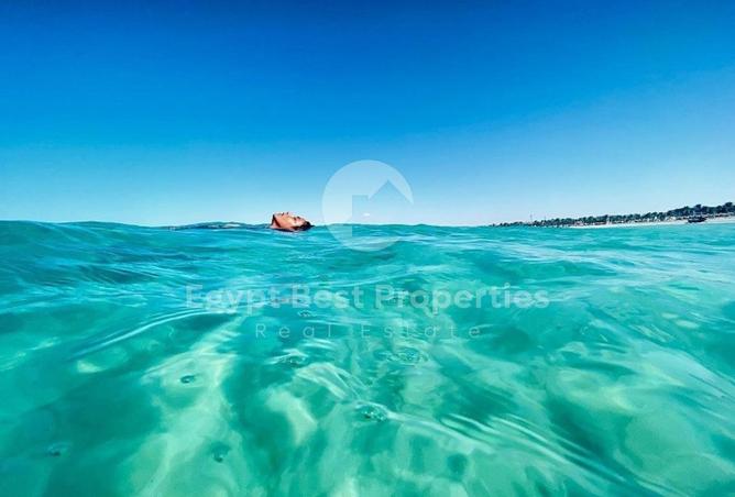 57498334 - Property Image 3