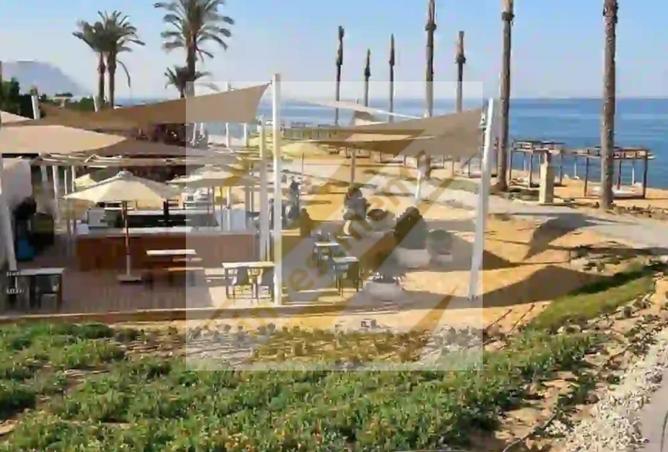 8591666 - صورة العقار 3