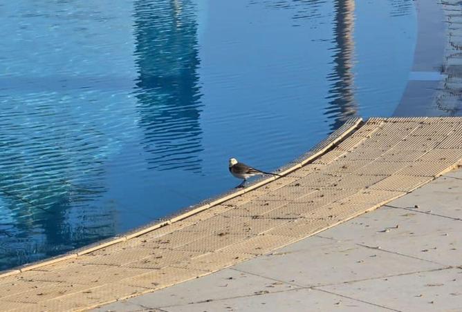 73239376 - الصورة الرئيسية للعقار