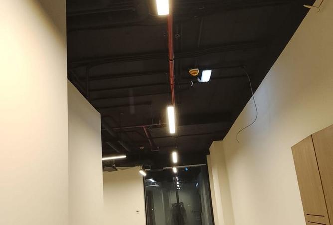 57755255 - Property Image 2