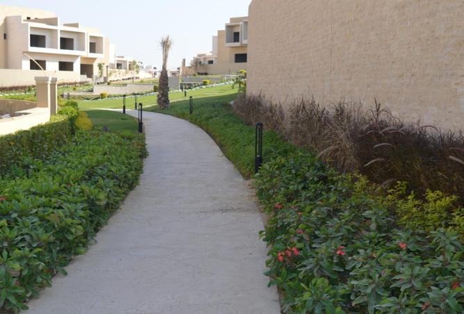 62651586 - صورة العقار 2