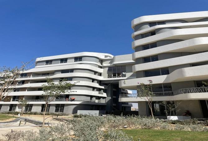 57233776 - صورة العقار 2