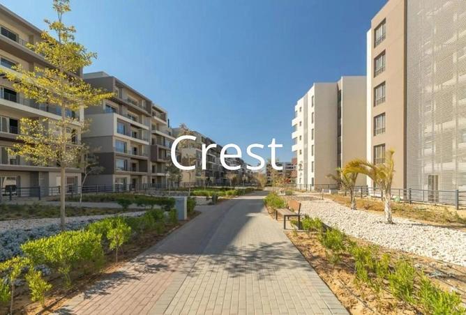 96589021 - Property Image 2