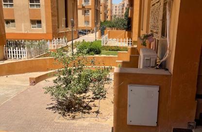 Apartment - 2 Bedrooms - 1 Bathroom for rent in Degla Gardens - Hadayek October - 6 October City - Giza