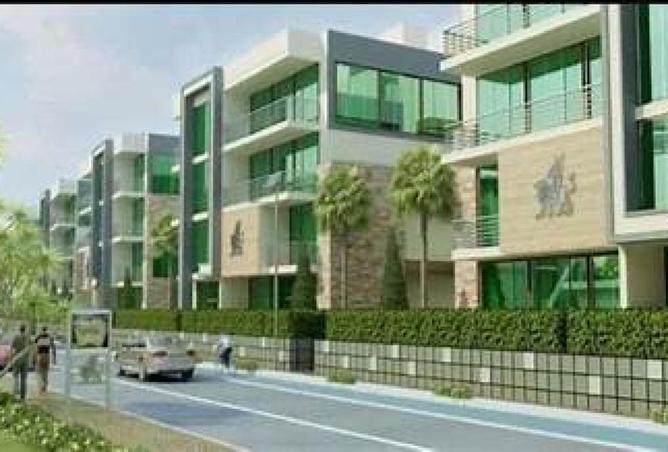 62403721 - Property Image 3