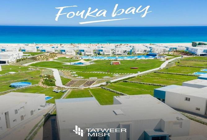 8528374 - Property Image 2