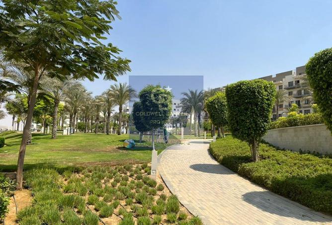 8684127 - Property Image 3