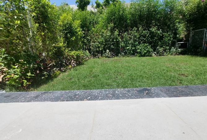 7969909 - Property Image 3