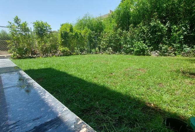 7969909 - Property Image 2