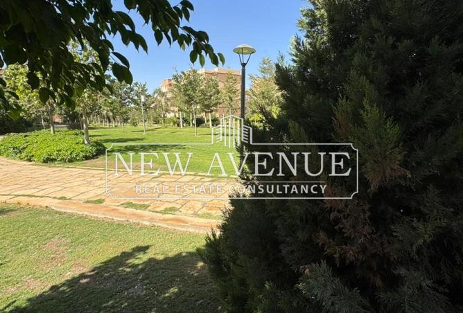 61447537 - Property Image 3