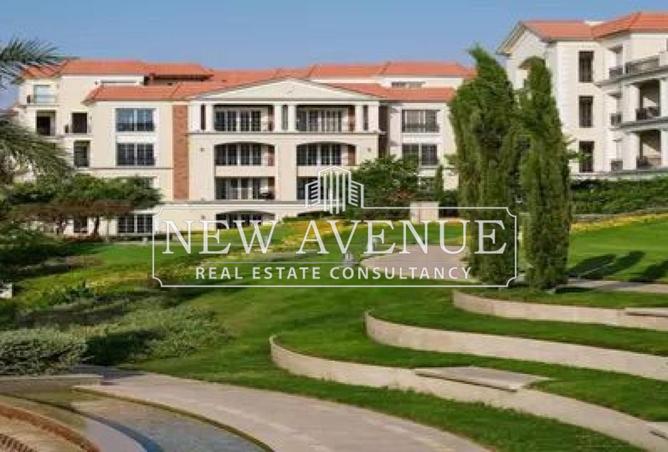 8583873 - Property Image 3