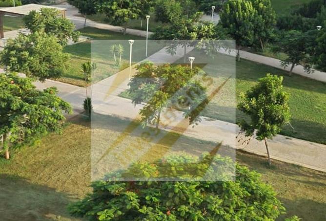 8703219 - صورة العقار 3