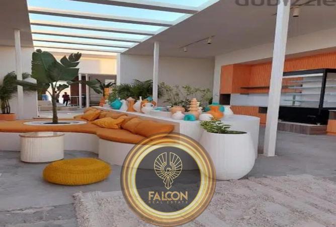 8596444 - Property Image 3