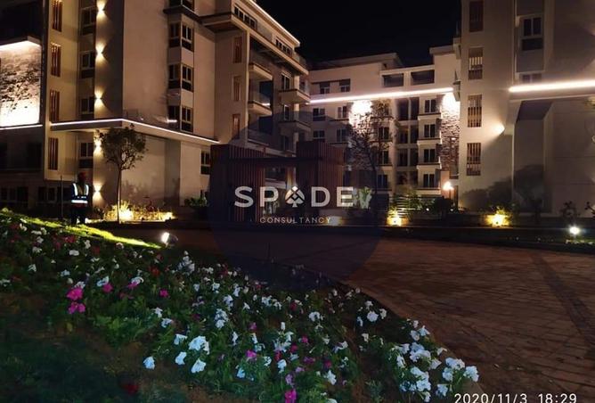 8682135 - Property Image 3