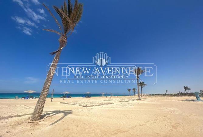 102909703 - Property Image 2