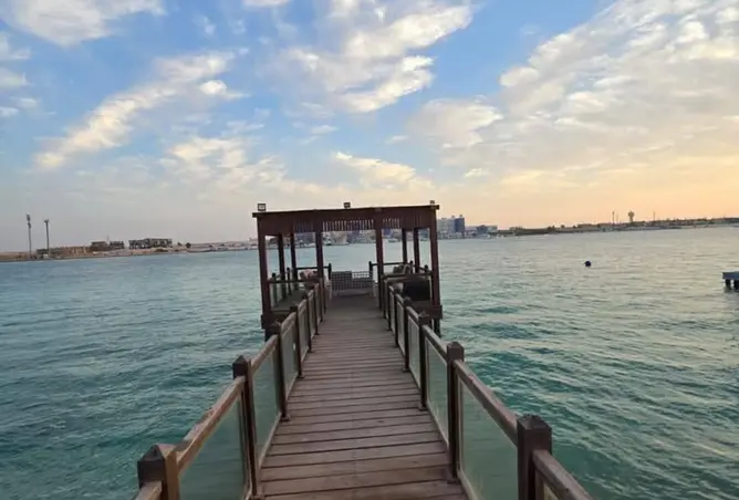 85050112 - صورة العقار 3