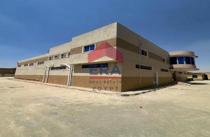 Factory - Studio - 3 for rent in Badr Industrial Zone - Badr City - Cairo