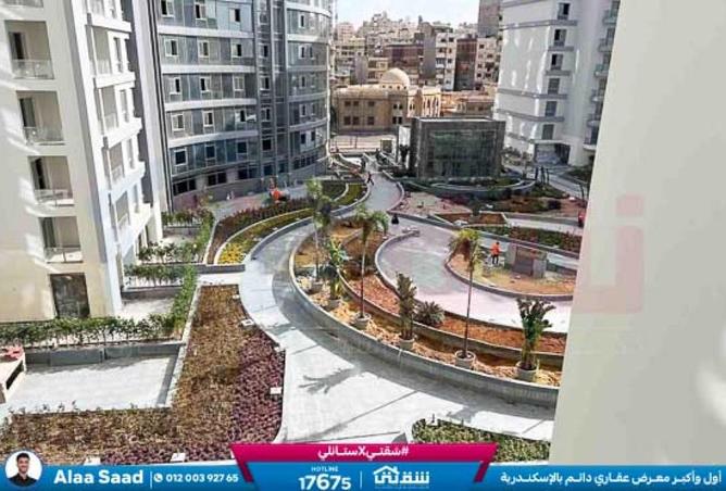 8591649 - Property Image 2