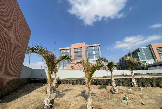 64128412 - Property Image 3