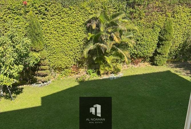 56745561 - صورة العقار 3