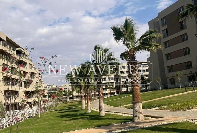 66964934 - صورة العقار 3