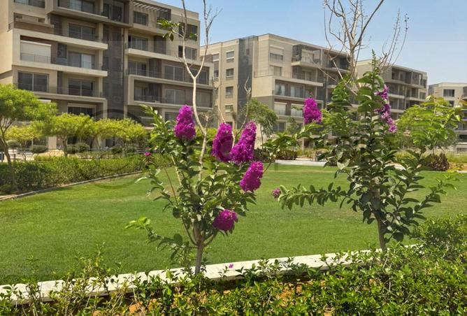 95204473 - صورة العقار 3