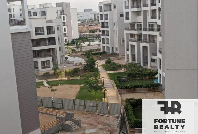 55509833 - صورة العقار 3