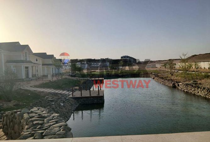 103761319 - Property Image 3