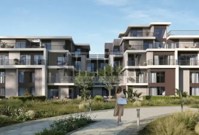 117537008 - Property Image 3