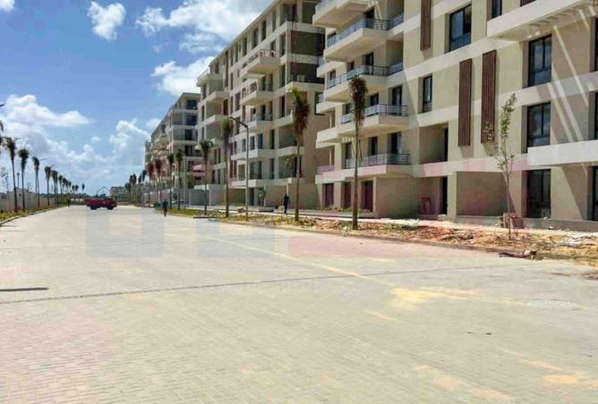 55750889 - Property Image 3