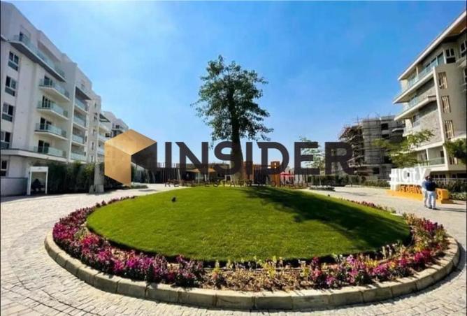 60716801 - Property Image 3