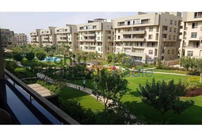 8464712 - Property Image 3