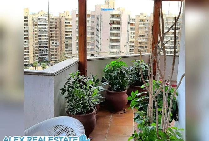 8662914 - Property Image 2