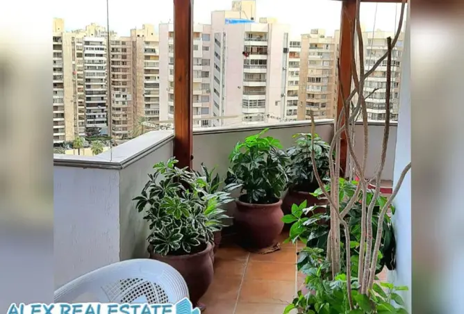 8662914 - Property Image 2