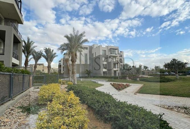 53990023 - صورة العقار 3