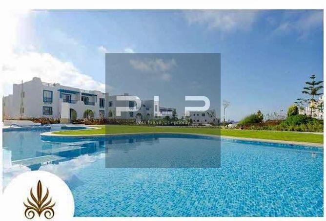 94094711 - Property Image 3