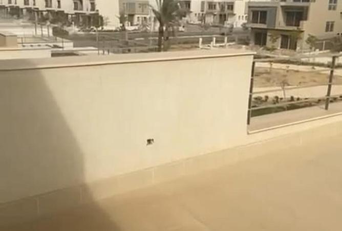 8604940 - صورة العقار 3