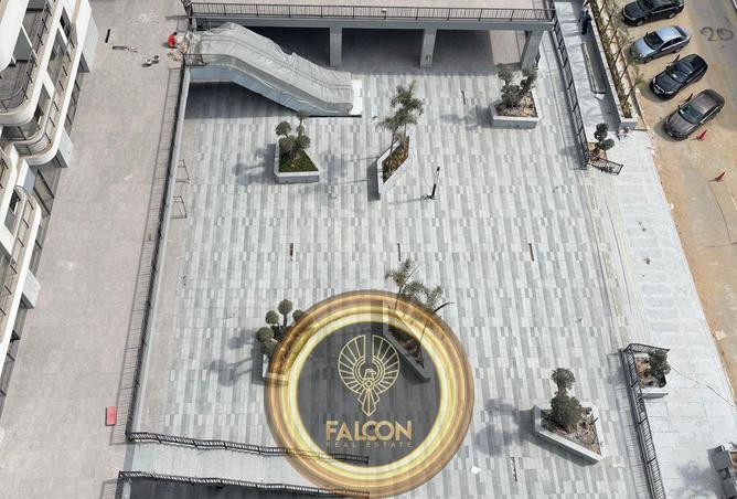 8485685 - Property Image 3