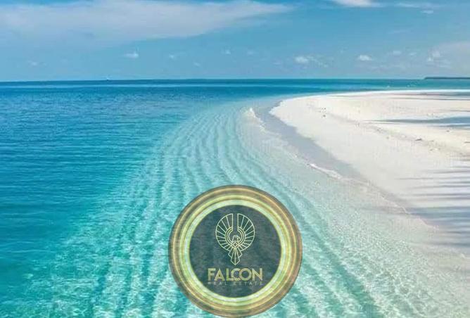 55745680 - Property Image 3