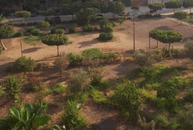 8533058 - صورة العقار 3