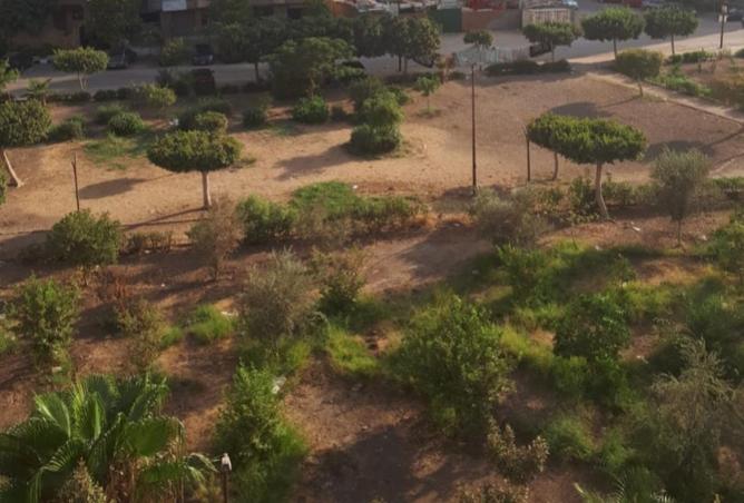 8533058 - صورة العقار 2