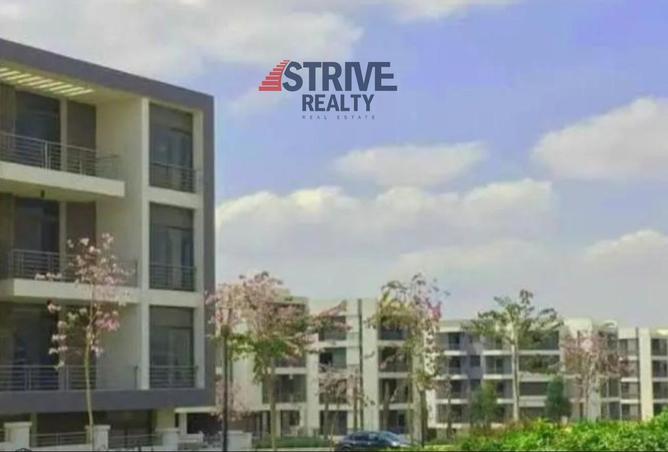 71131347 - Property Image 3
