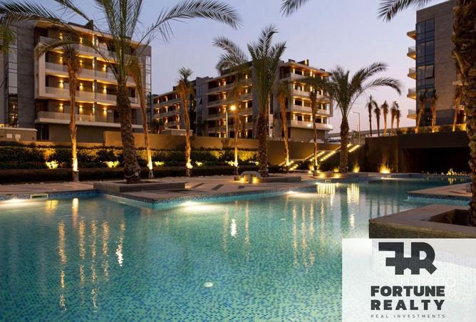 53478916 - Property Image 2