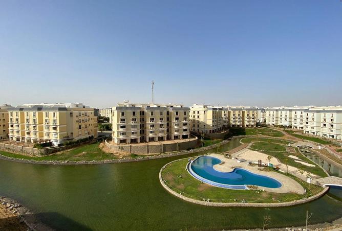80251991 - صورة العقار 2